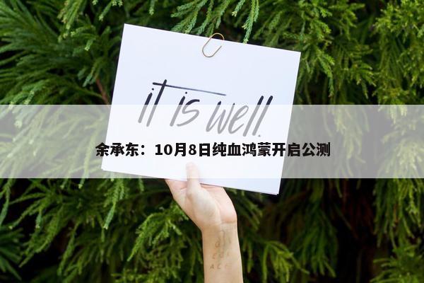 余承东：10月8日纯血鸿蒙开启公测