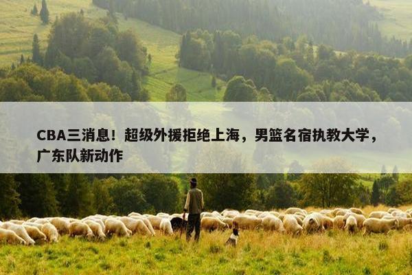 CBA三消息！超级外援拒绝上海，男篮名宿执教大学，广东队新动作