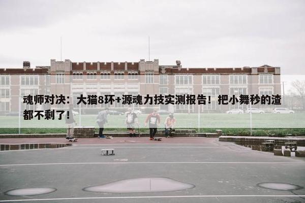 魂师对决：大猫8环+源魂力技实测报告！把小舞秒的渣都不剩了！