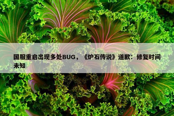 国服重启出现多处BUG，《炉石传说》道歉：修复时间未知