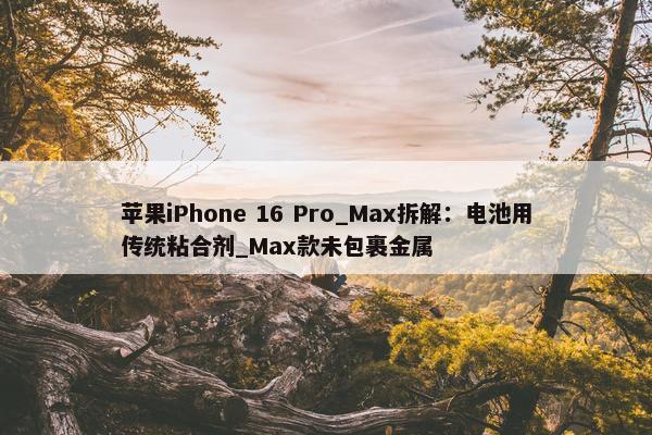 苹果iPhone 16 Pro_Max拆解：电池用传统粘合剂_Max款未包裹金属