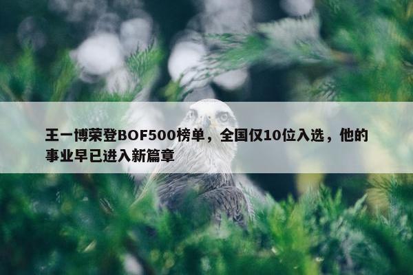 王一博荣登BOF500榜单，全国仅10位入选，他的事业早已进入新篇章