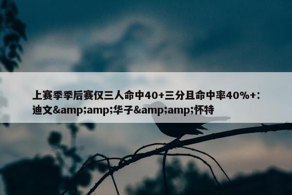 上赛季季后赛仅三人命中40+三分且命中率40%+：迪文&amp;华子&amp;怀特