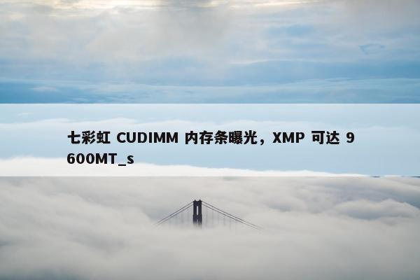 七彩虹 CUDIMM 内存条曝光，XMP 可达 9600MT_s