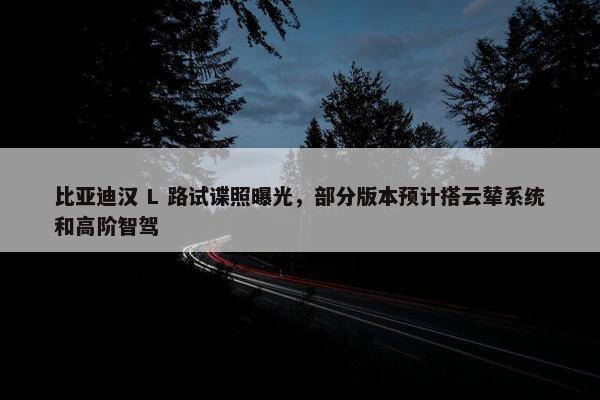 比亚迪汉 L 路试谍照曝光，部分版本预计搭云辇系统和高阶智驾