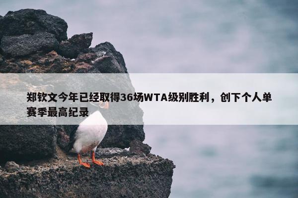 郑钦文今年已经取得36场WTA级别胜利，创下个人单赛季最高纪录