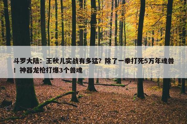 斗罗大陆：王秋儿实战有多猛？除了一拳打死5万年魂兽！神器龙枪打爆3个兽魂