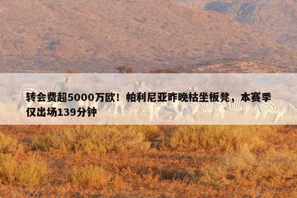 转会费超5000万欧！帕利尼亚昨晚枯坐板凳，本赛季仅出场139分钟