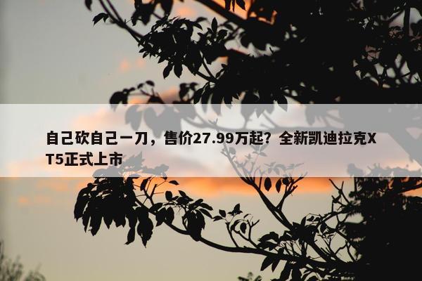 自己砍自己一刀，售价27.99万起？全新凯迪拉克XT5正式上市