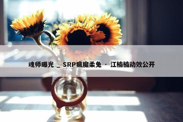 魂师曝光 _ SRP疯魔柔兔 · 江楠楠动效公开