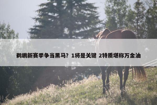 鹈鹕新赛季争当黑马？1将是关键 2特质堪称万金油