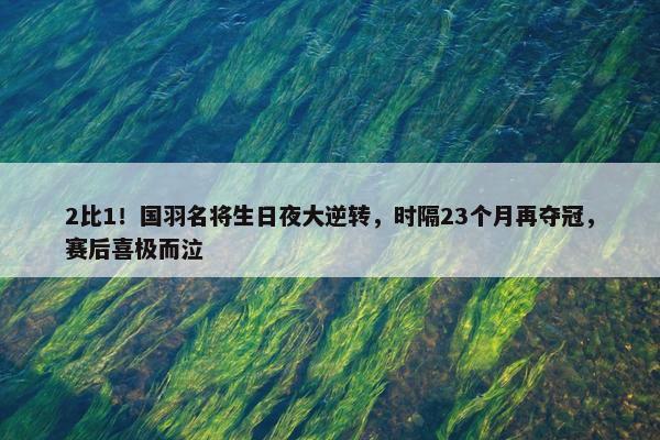 2比1！国羽名将生日夜大逆转，时隔23个月再夺冠，赛后喜极而泣