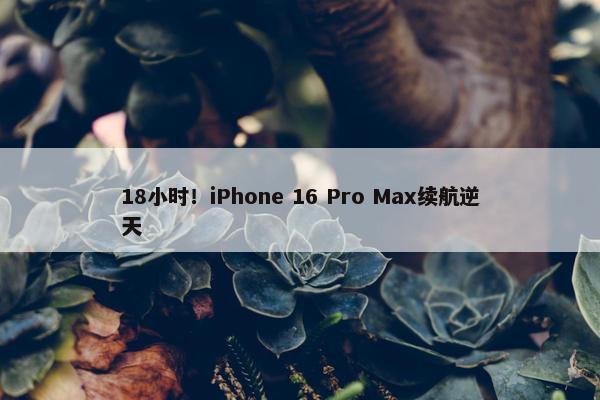 18小时！iPhone 16 Pro Max续航逆天