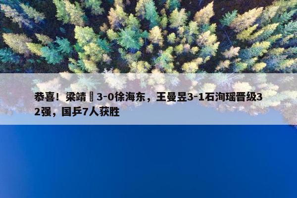 恭喜！梁靖崑3-0徐海东，王曼昱3-1石洵瑶晋级32强，国乒7人获胜