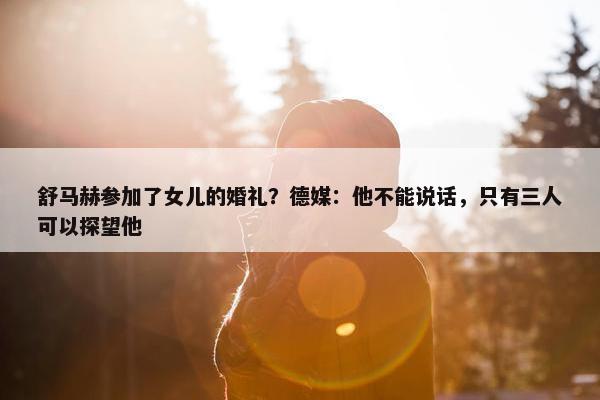 舒马赫参加了女儿的婚礼？德媒：他不能说话，只有三人可以探望他