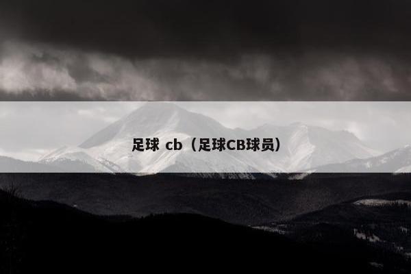 足球 cb（足球CB球员）