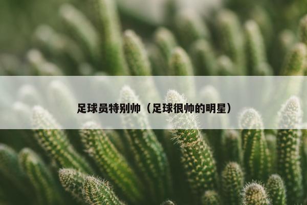 足球员特别帅（足球很帅的明星）