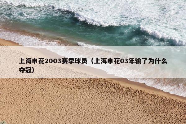 上海申花2003赛季球员（上海申花03年输了为什么夺冠）