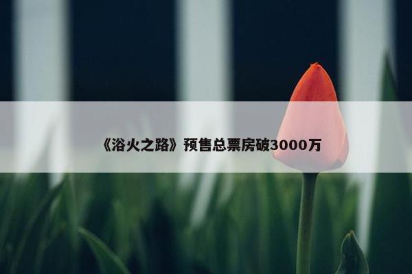 《浴火之路》预售总票房破3000万