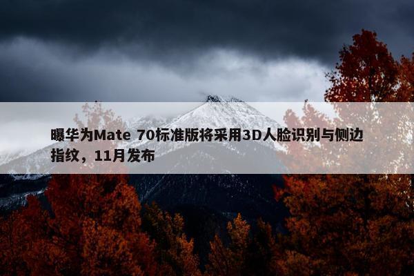 曝华为Mate 70标准版将采用3D人脸识别与侧边指纹，11月发布