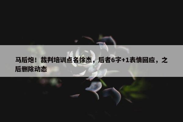 马后炮！裁判培训点名徐杰，后者6字+1表情回应，之后删除动态