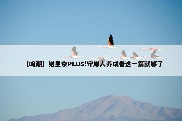 【鸣潮】维里奈PLUS!守岸人养成看这一篇就够了