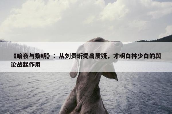 《暗夜与黎明》：从刘贵珩提出质疑，才明白林少白的舆论战起作用