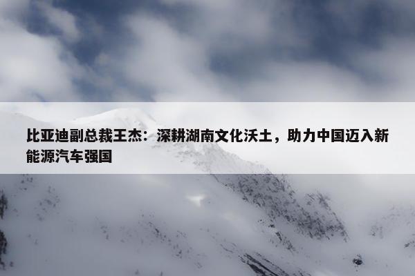 比亚迪副总裁王杰：深耕湖南文化沃土，助力中国迈入新能源汽车强国