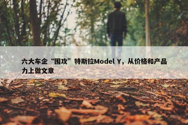 六大车企“围攻”特斯拉Model Y，从价格和产品力上做文章