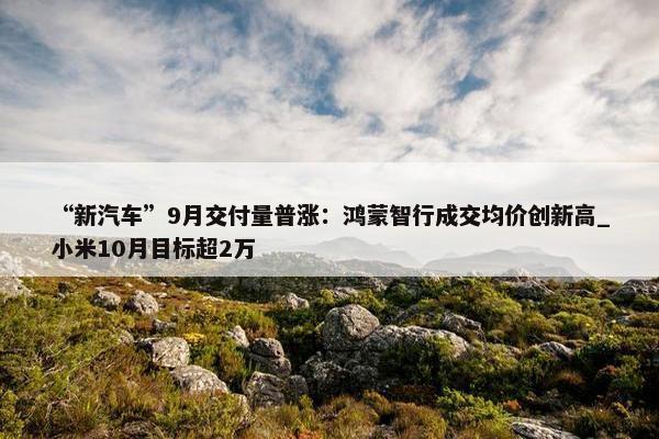 “新汽车”9月交付量普涨：鸿蒙智行成交均价创新高_小米10月目标超2万