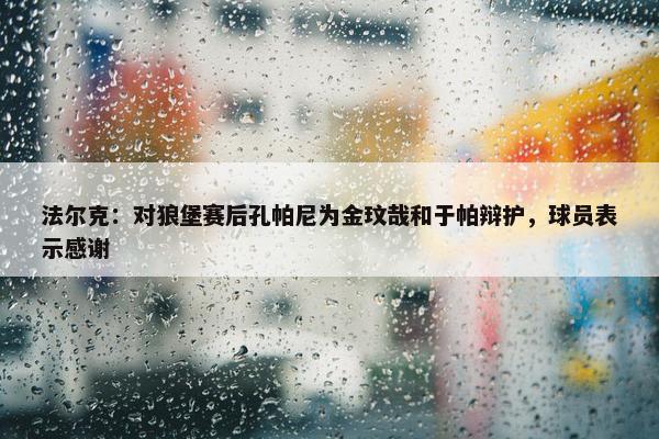 法尔克：对狼堡赛后孔帕尼为金玟哉和于帕辩护，球员表示感谢