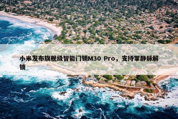 小米发布旗舰级智能门锁M30 Pro，支持掌静脉解锁