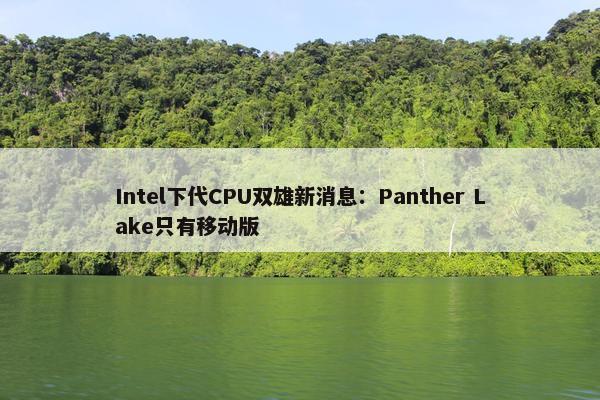 Intel下代CPU双雄新消息：Panther Lake只有移动版