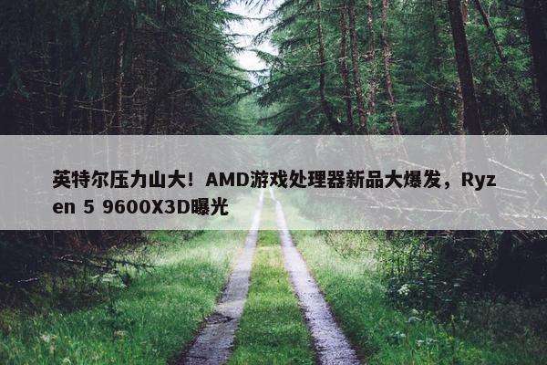 英特尔压力山大！AMD游戏处理器新品大爆发，Ryzen 5 9600X3D曝光