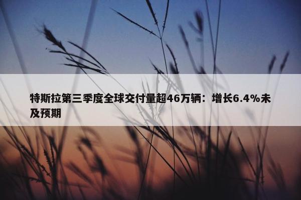 特斯拉第三季度全球交付量超46万辆：增长6.4%未及预期