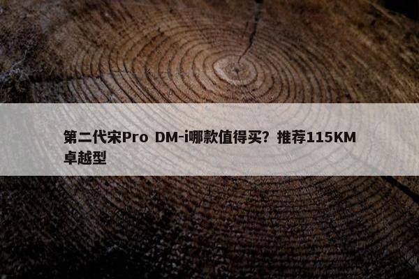 第二代宋Pro DM-i哪款值得买？推荐115KM卓越型