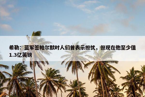 希勒：蓝军签帕尔默时人们曾表示担忧，但现在他至少值1.3亿英镑