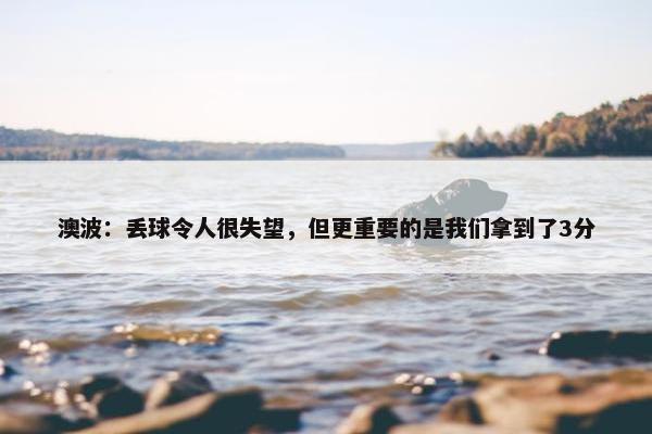 澳波：丢球令人很失望，但更重要的是我们拿到了3分