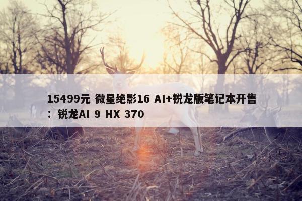 15499元 微星绝影16 AI+锐龙版笔记本开售：锐龙AI 9 HX 370