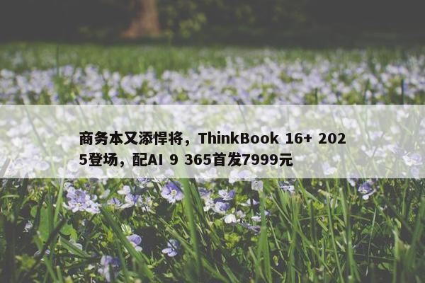 商务本又添悍将，ThinkBook 16+ 2025登场，配AI 9 365首发7999元