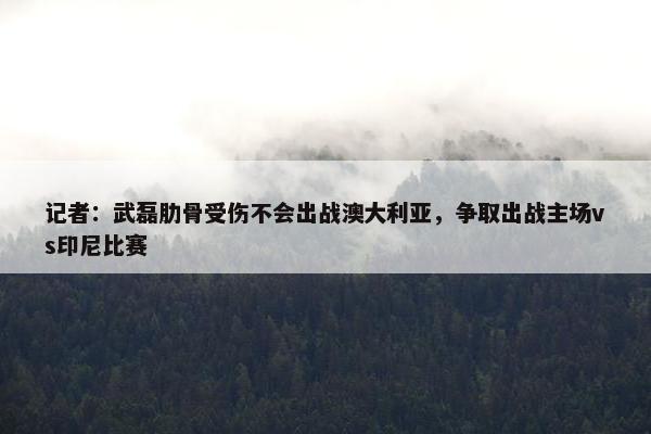 记者：武磊肋骨受伤不会出战澳大利亚，争取出战主场vs印尼比赛