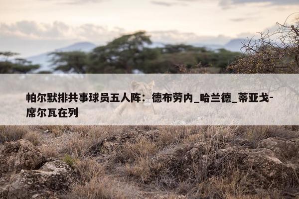 帕尔默排共事球员五人阵：德布劳内_哈兰德_蒂亚戈-席尔瓦在列