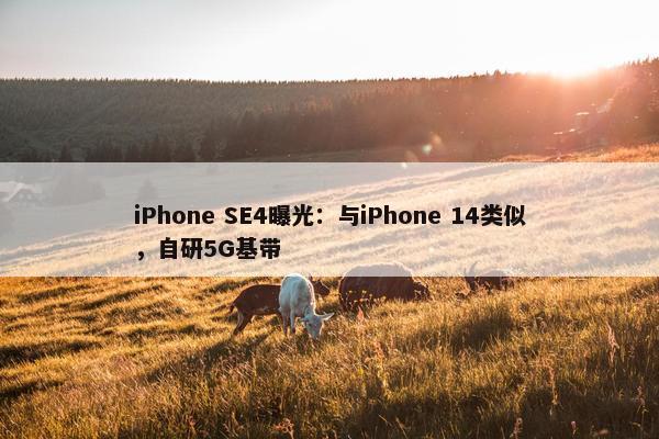 iPhone SE4曝光：与iPhone 14类似，自研5G基带