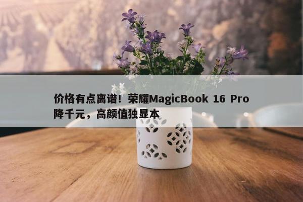 价格有点离谱！荣耀MagicBook 16 Pro降千元，高颜值独显本