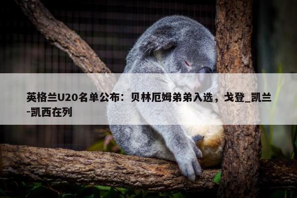 英格兰U20名单公布：贝林厄姆弟弟入选，戈登_凯兰-凯西在列