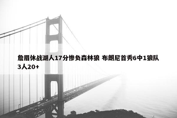 詹眉休战湖人17分惨负森林狼 布朗尼首秀6中1狼队3人20+