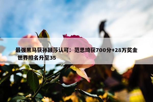 最强黑马获孙颖莎认可：范思琦获700分+28万奖金 世界排名升至35