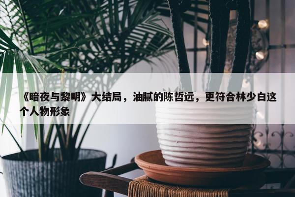 《暗夜与黎明》大结局，油腻的陈哲远，更符合林少白这个人物形象