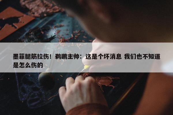 墨菲腿筋拉伤！鹈鹕主帅：这是个坏消息 我们也不知道是怎么伤的