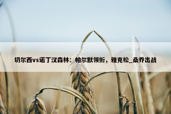 切尔西vs诺丁汉森林：帕尔默领衔，雅克松_桑乔出战